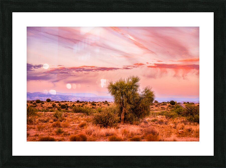 WHISPERS THROUGH THE SUNLIT CANOPY Picture Frame print