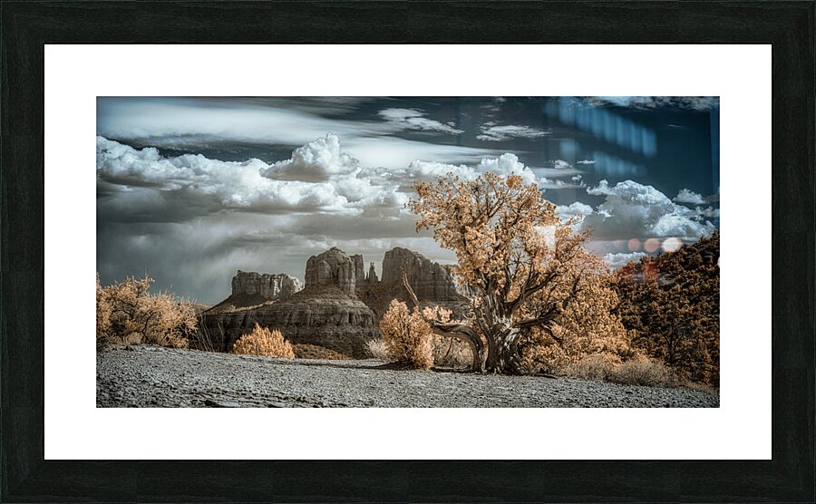 Solitary Desert Dreams Picture Frame print