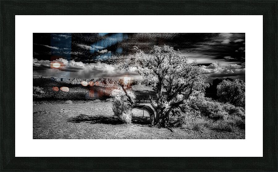 Bark and Cloud: A Monochrome Dialogue Picture Frame print