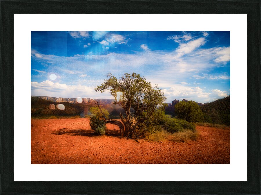 Gnarled Ode on Reddish Earth Picture Frame print
