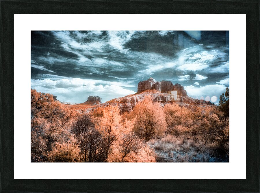 Chromatic Dance of Forest and Desert Picture Frame print