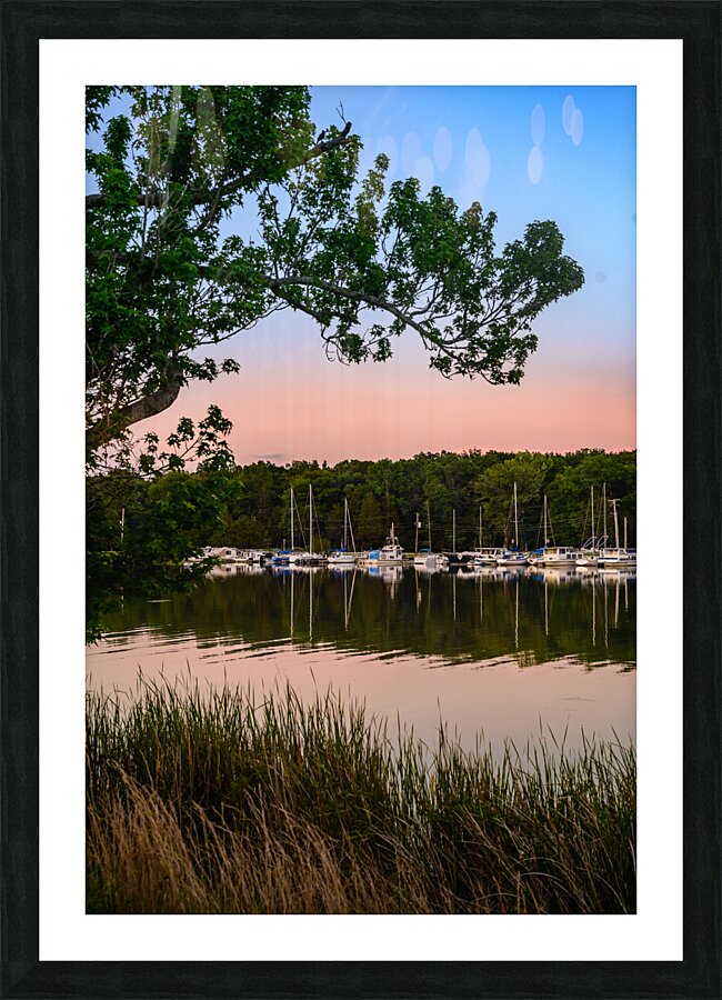 Sailboats in Serenitys Embrace Picture Frame print