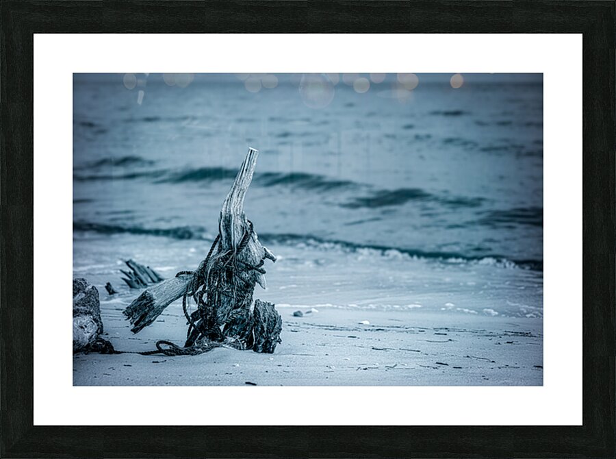 Oceans Driftwood Sentinel Picture Frame print