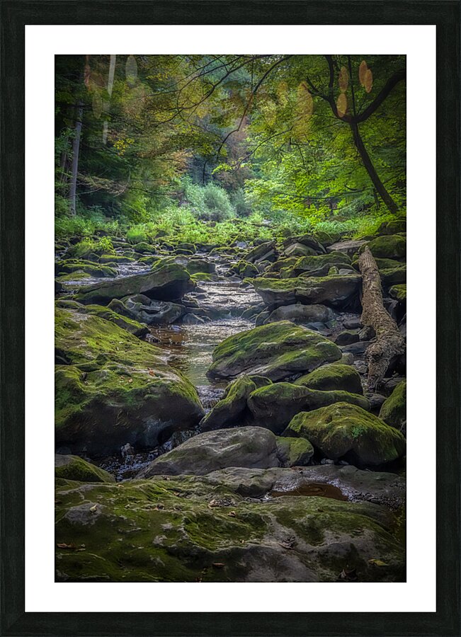 Mossy Embrace of Stability Picture Frame print