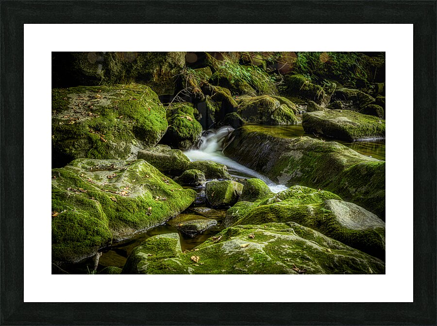 Silent Symphony of Flow Picture Frame print