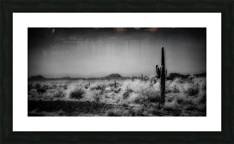 Desert Stillness Picture Frame print