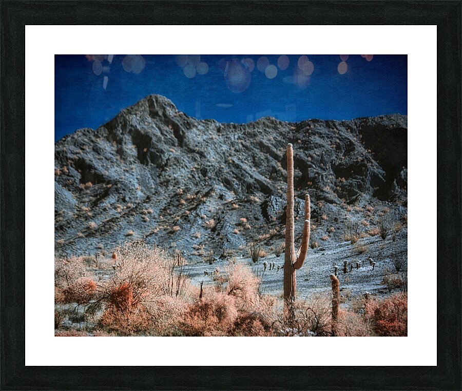Surreal Desert in Blush and Indigo Picture Frame print