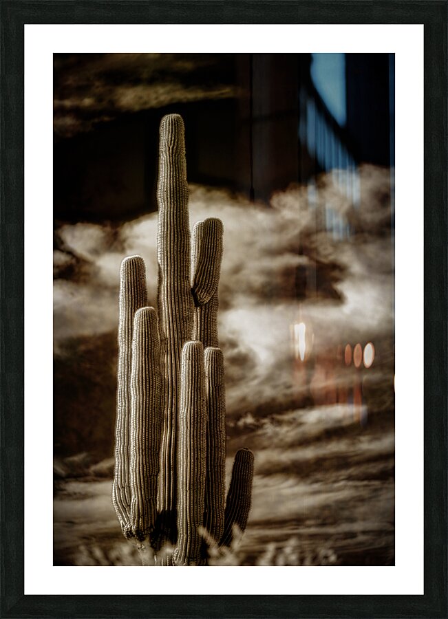 Desert Essence Picture Frame print