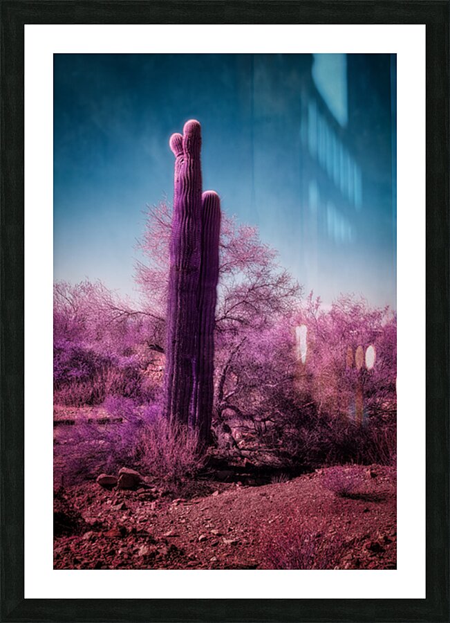Deserts Purple Dream Impression et Cadre photo