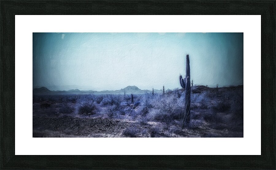 Ethereal Cactus Serenade Impression et Cadre photo