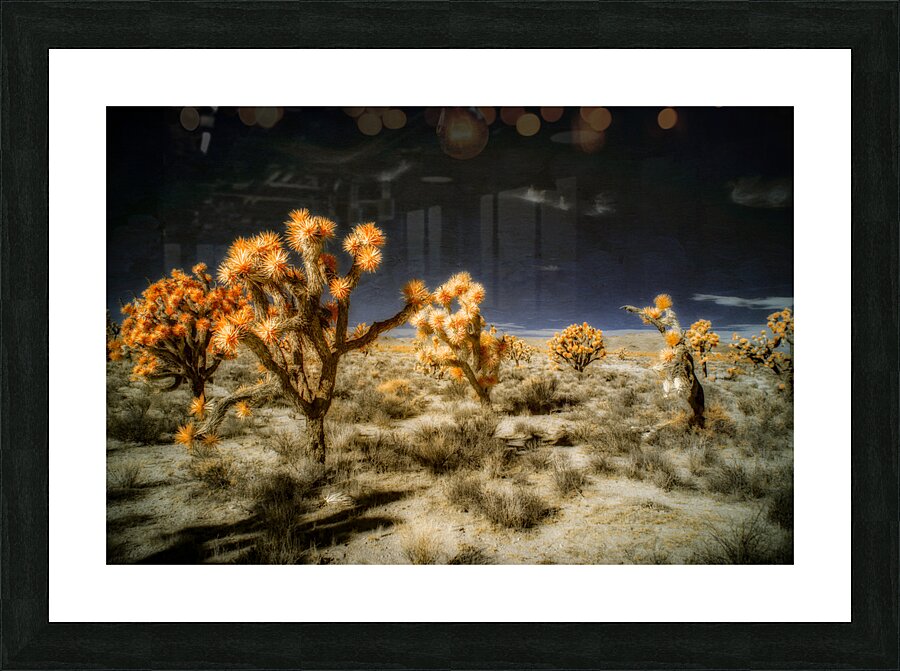 Joshuas Celestial Canopy Picture Frame print