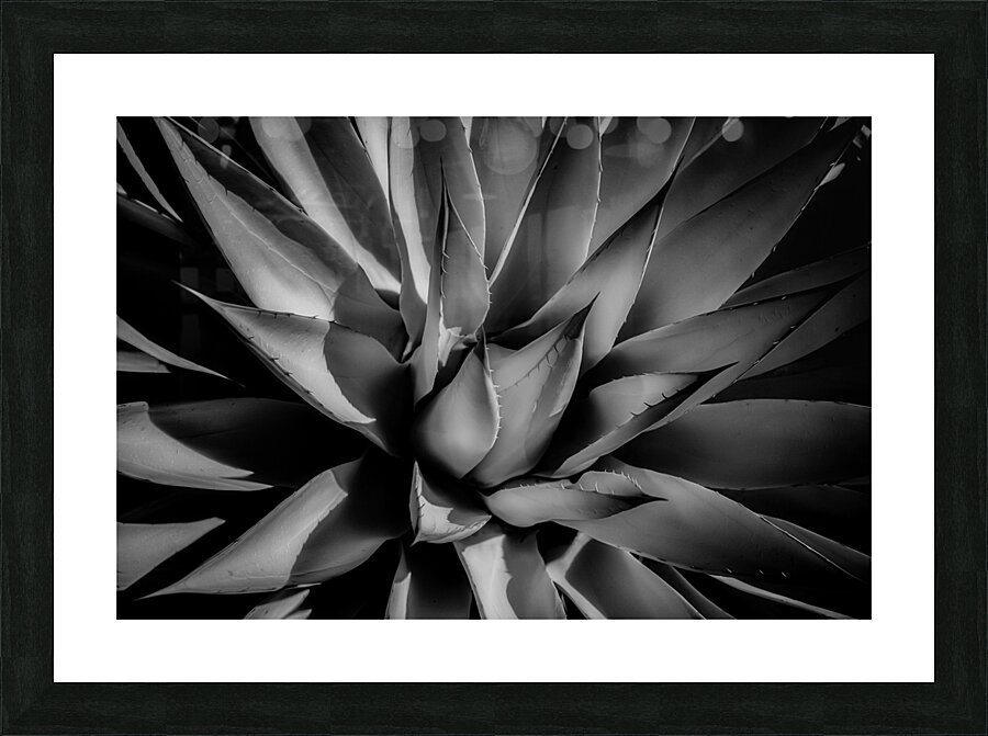 Silent Symphony of Leafy Angles Picture Frame print