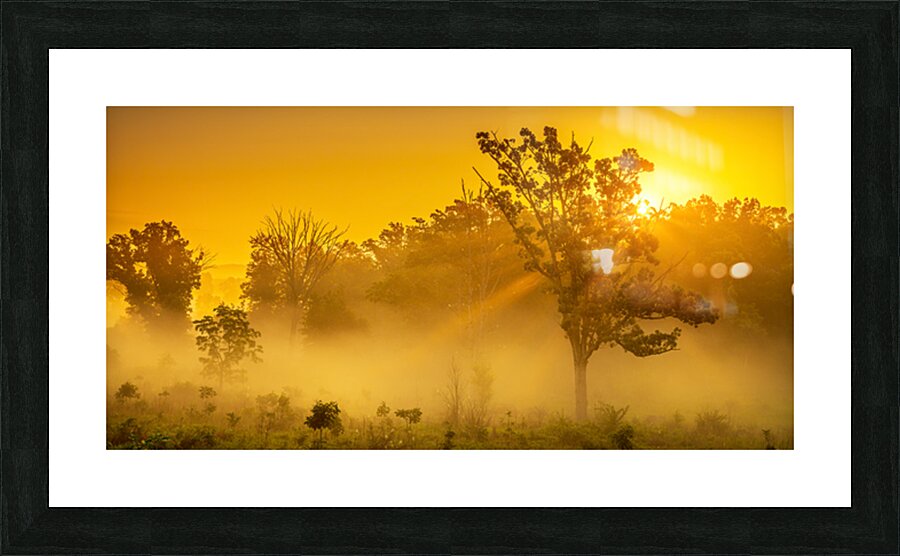 Misty Morning Glow: Dawn in Gettysburg Picture Frame print