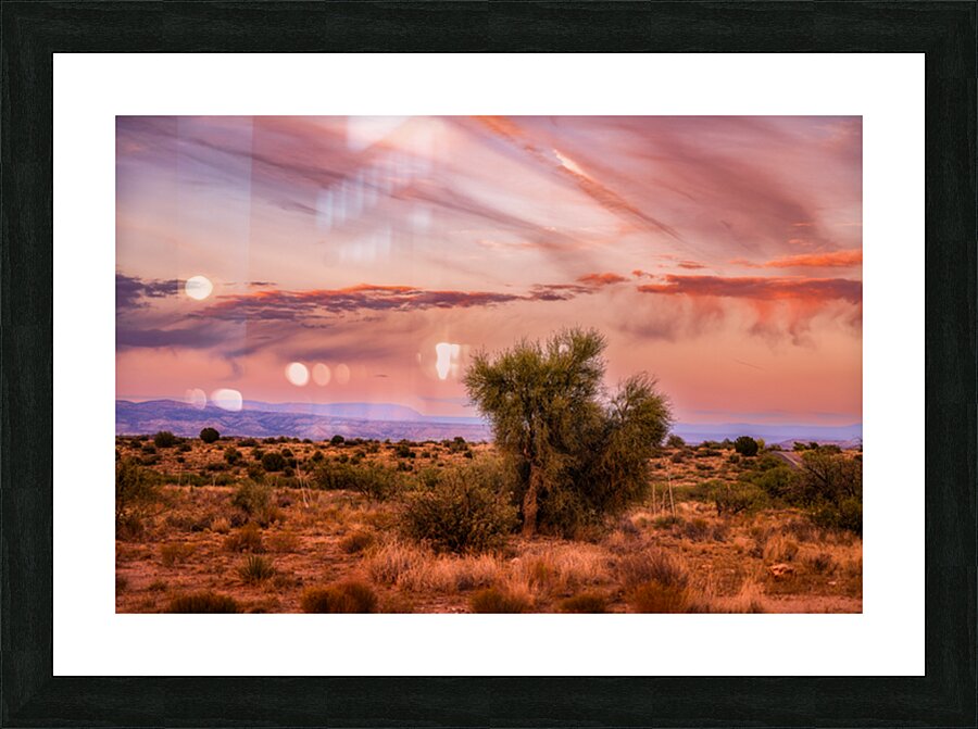 Whispers Through The Sunlit Canopy Picture Frame print