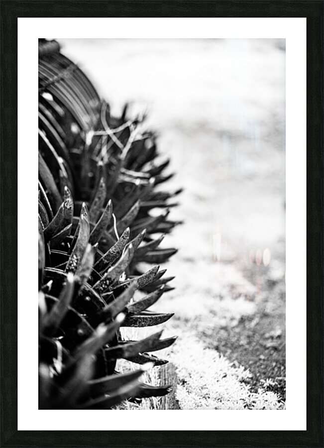 Rustic Relic   Nebraska Death Wheel Picture Frame print