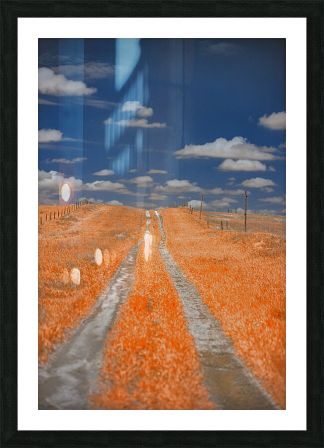 Copper Prairie Path Picture Frame print