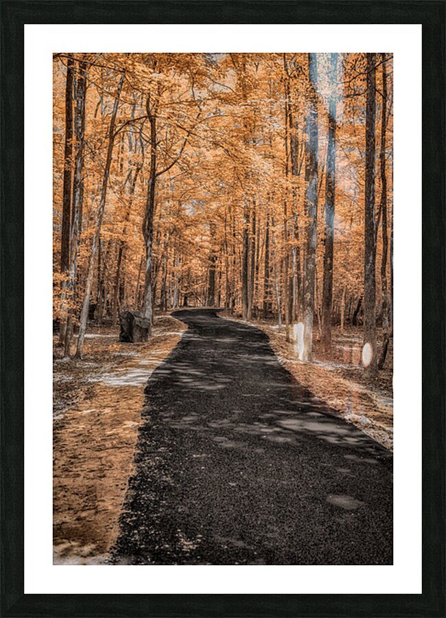 Golden Path Picture Frame print