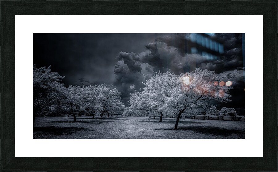 Illumination in Turmoil Picture Frame print
