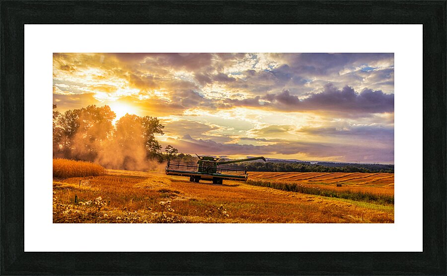 Harvest Gold Picture Frame print