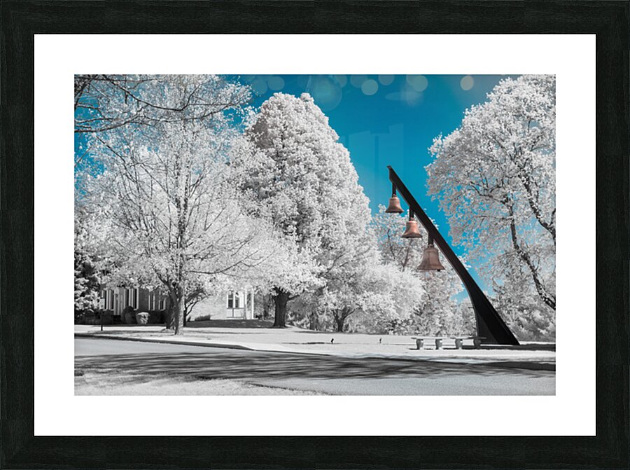 Infrared Exploration: Unveiling the Beauty of Seminary Bells in  Picture Frame print