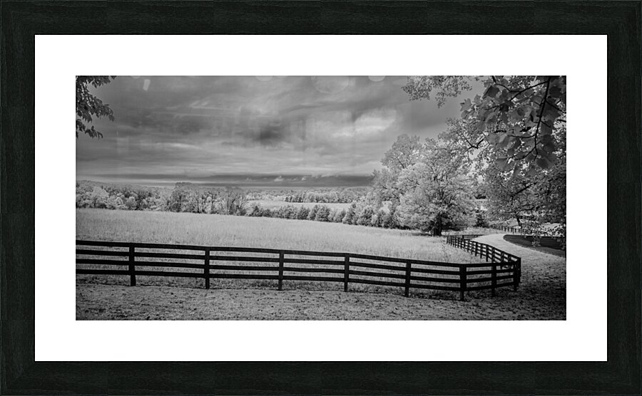 Lines of Legacy Picture Frame print