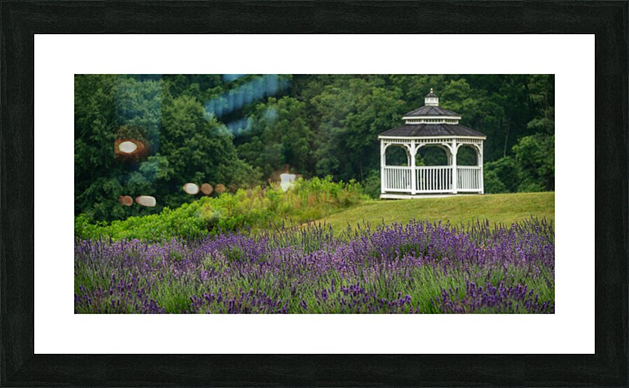 Lavender Gazebo Impression et Cadre photo