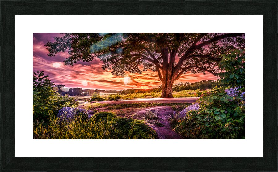 Fairytale Sunset Picture Frame print