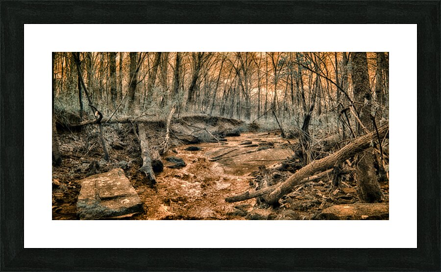 Ghostly Flow: Exploring Gettysburgs Bloody Run in Infrared Picture Frame print