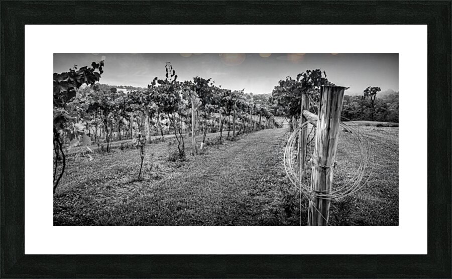 Extra wire Picture Frame print