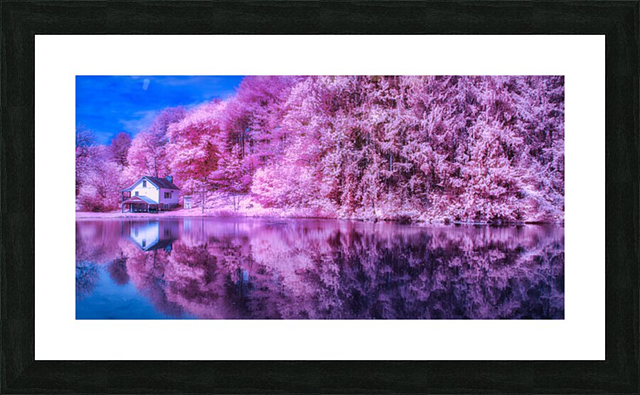 Mirror of Lavender Dreams Impression et Cadre photo