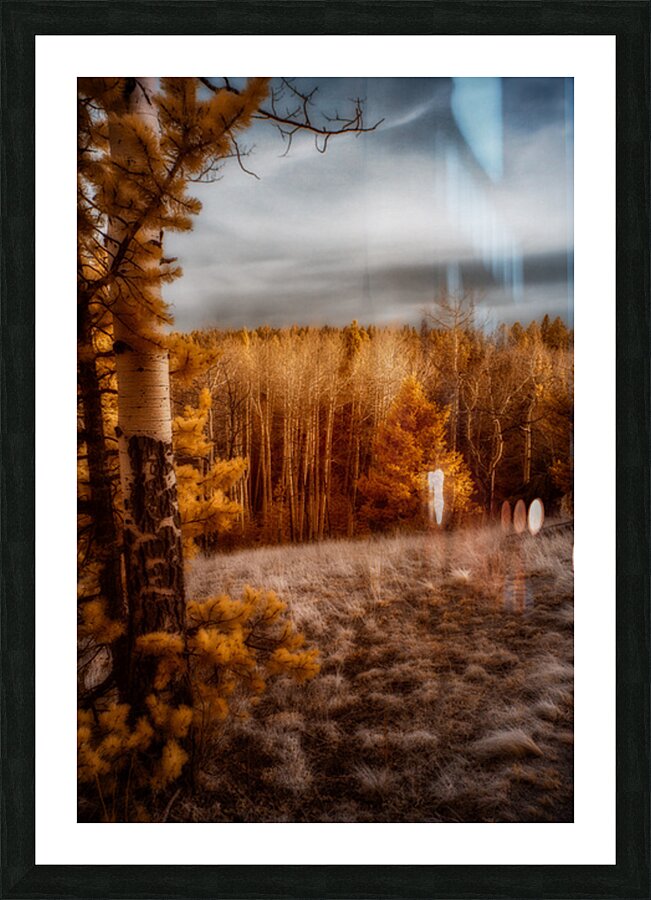 Mueller Aspen Series: Picture Frame print
