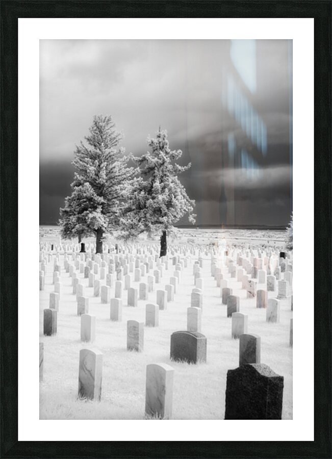 Guardians of Valor Picture Frame print