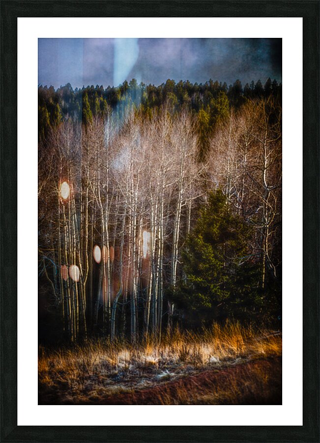Mueller Aspen Series: Whispers of Fall Picture Frame print