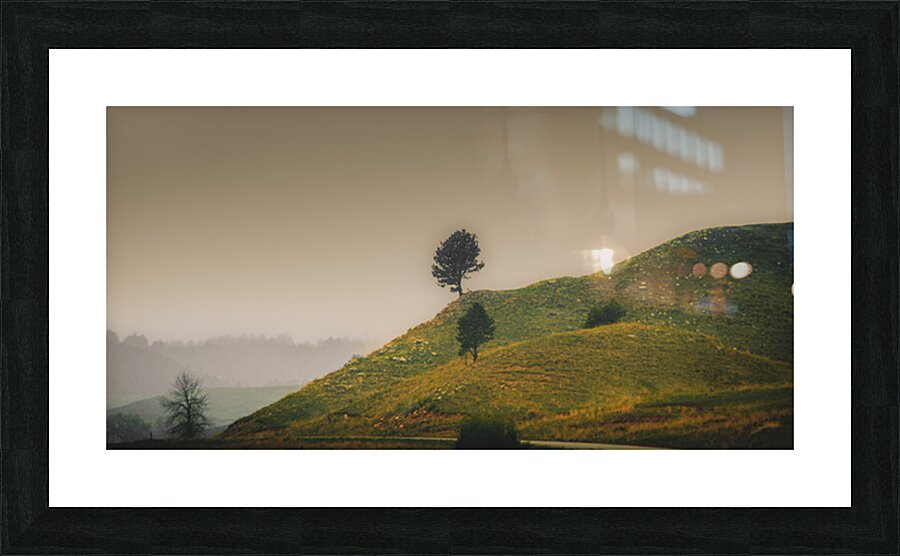 Solitary Sentinels: Misty Isolation Picture Frame print