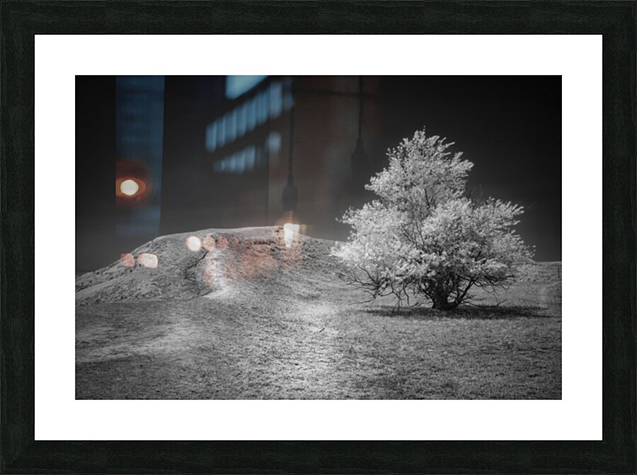 Silent Beauty: Navigating the Badlands with My Companions Picture Frame print