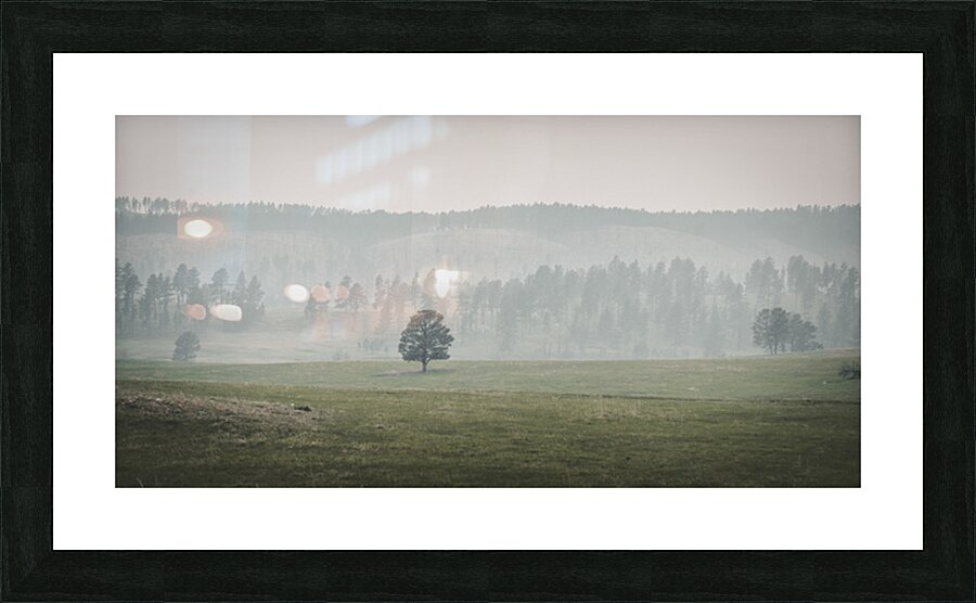 Solitudes Symphony: A Journey Through Custers Wildlife Loop Picture Frame print