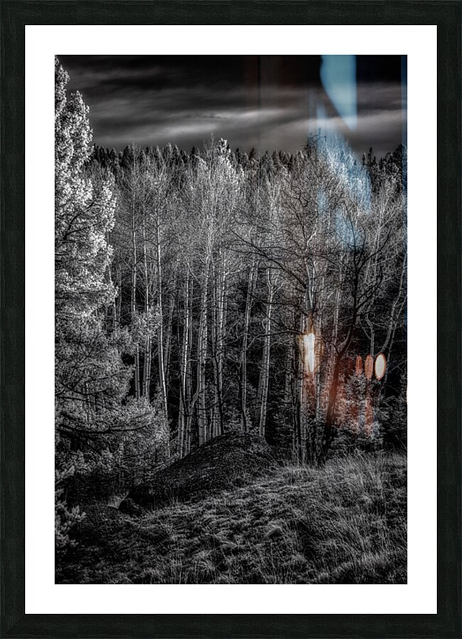 Mueller Aspen Series: Aspen Symphony Picture Frame print