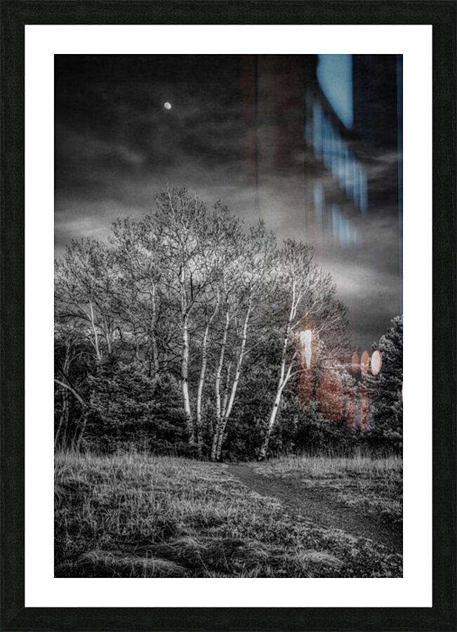 Mueller Aspen Series: Aspen Moon Picture Frame print