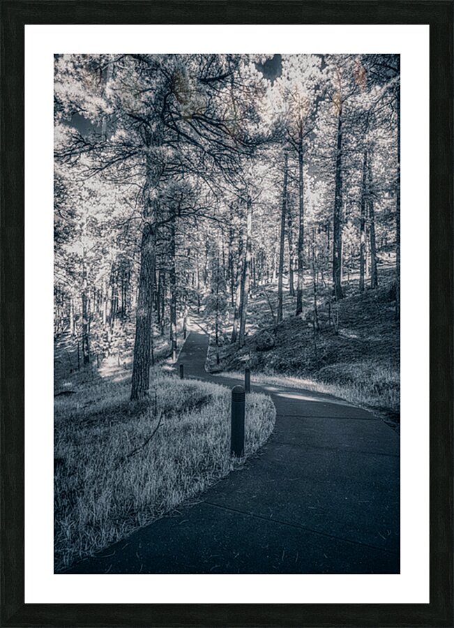 Mount Rushmore: Path Below the Monument in Infrared Magic Picture Frame print