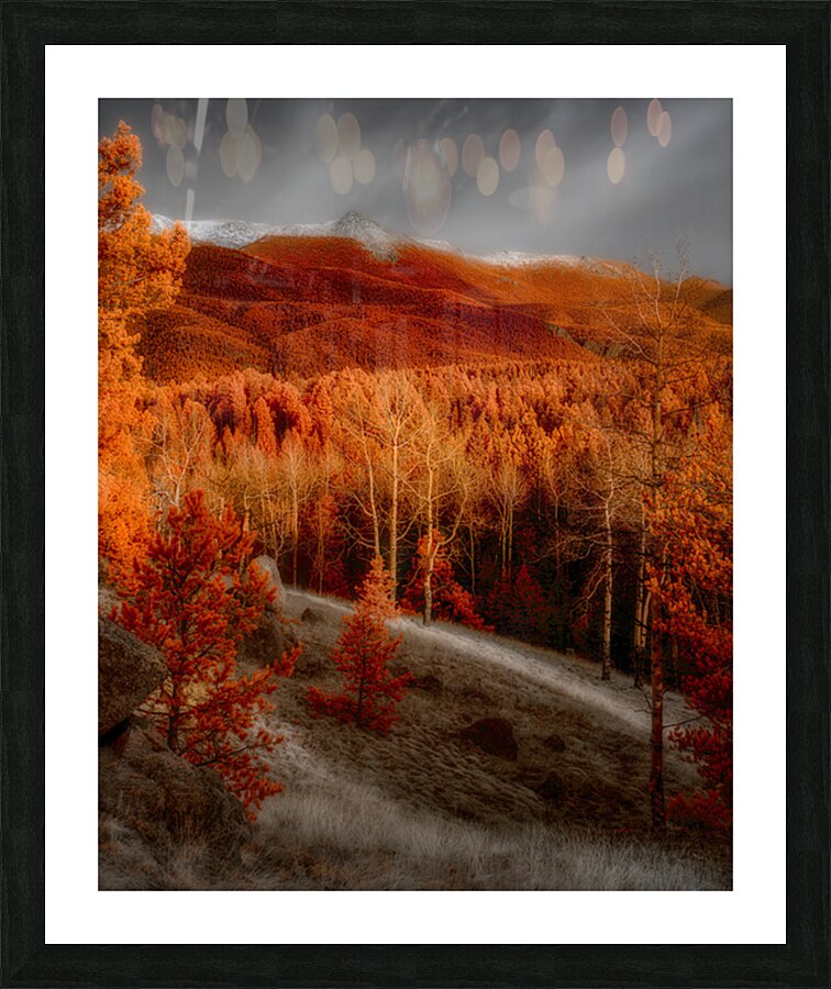 Mueller Aspen Series: Autumns Palette Picture Frame print