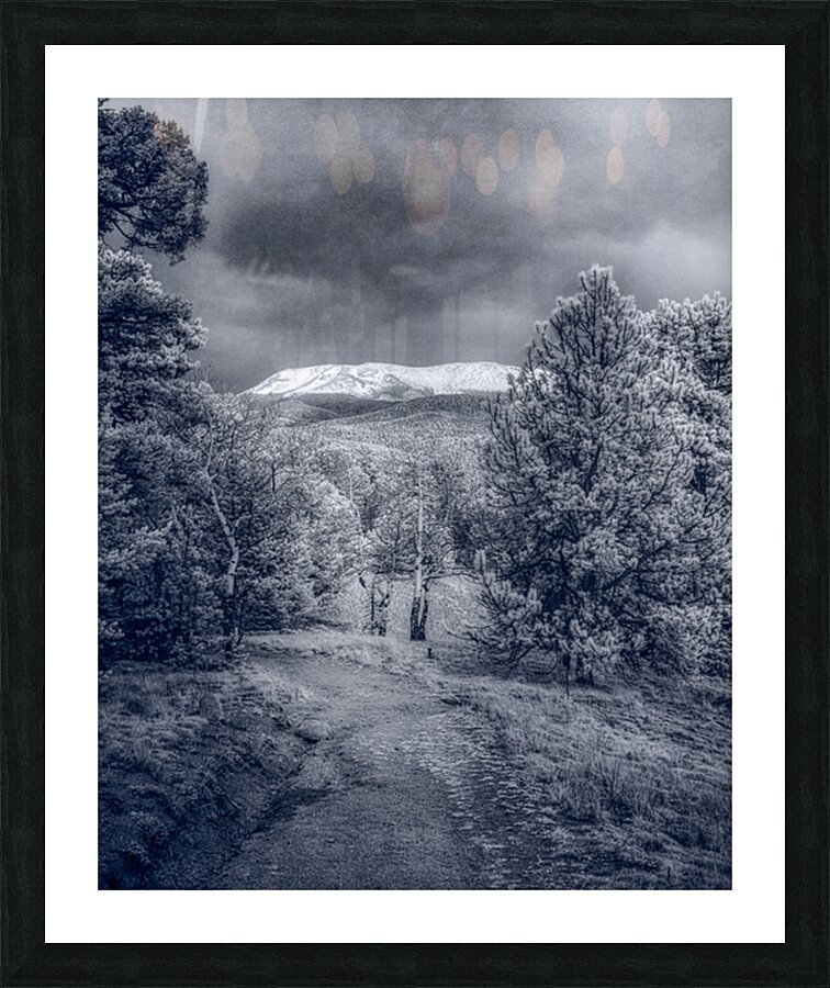 Mueller Aspen Series: Mountain Trail Tranquility Picture Frame print