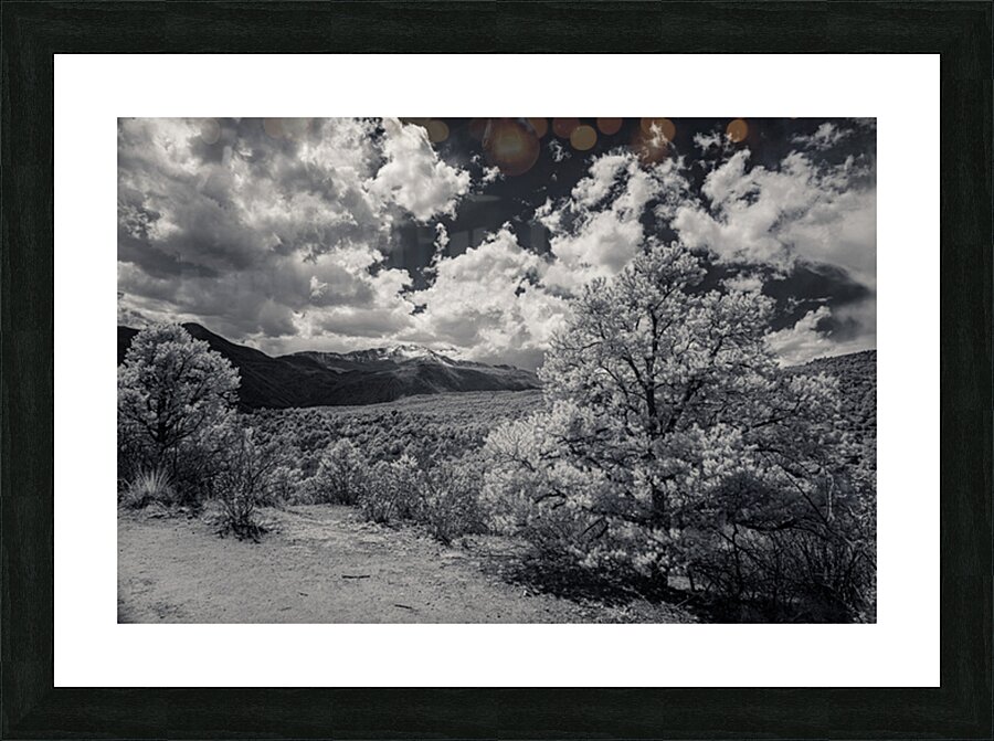 Trail to Majesty: A Glimpse Beyond on Scotchman Trail Garden of the Gods Picture Frame print