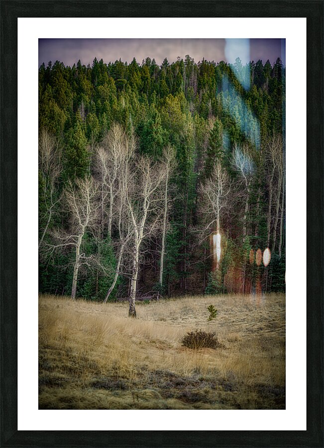 Mueller Aspen Series: Twilight Whispers Picture Frame print
