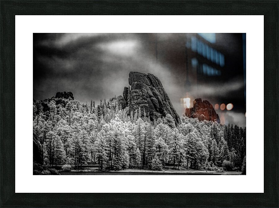 Sylvan Shadows: A Moody Encounter with Natures Drama in Custer  Picture Frame print