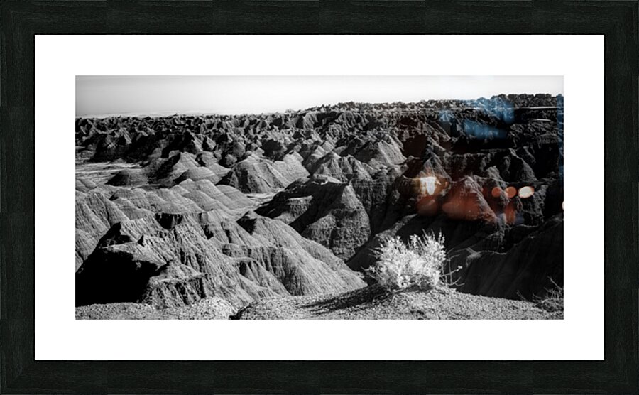 Shadows of the Earth: Tuft on the Edge Picture Frame print