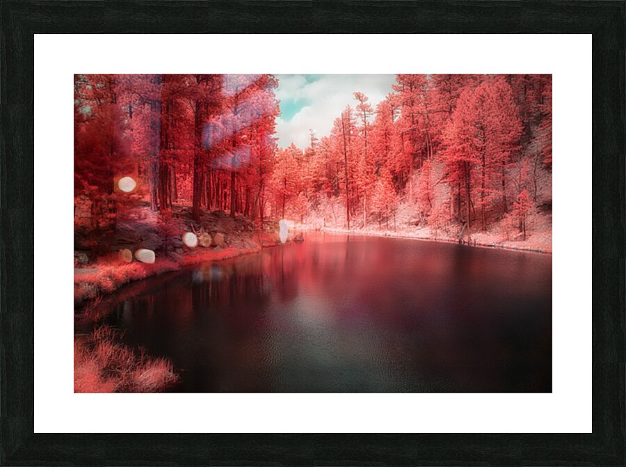 Cooliage Red Pond Picture Frame print