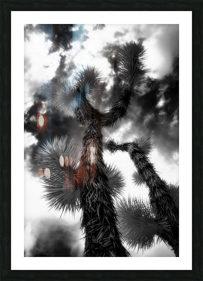 Reaching for the Storms Canopy Impression et Cadre photo