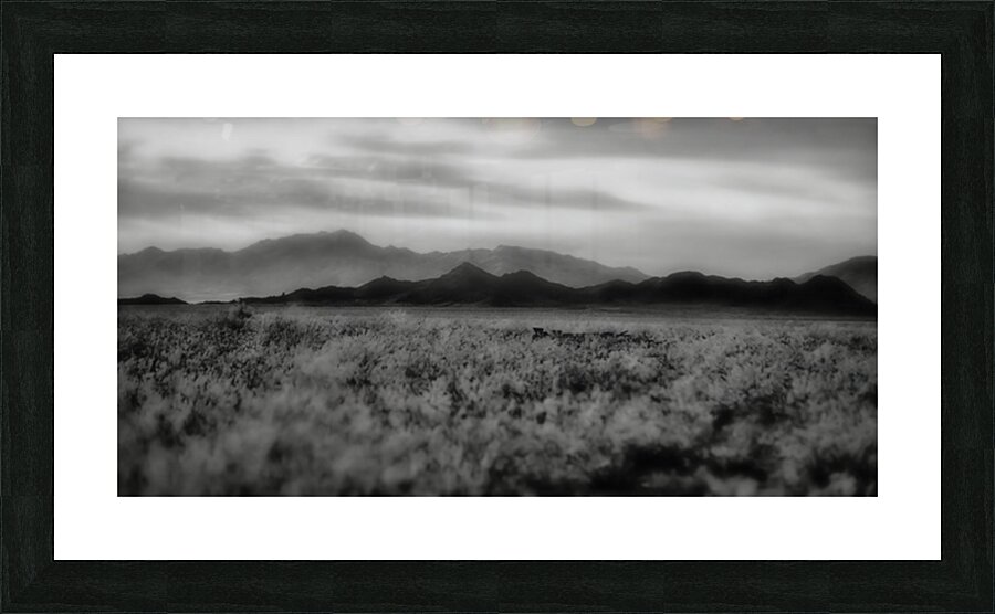 Waves of Solitude Across the Arid Horizon Picture Frame print