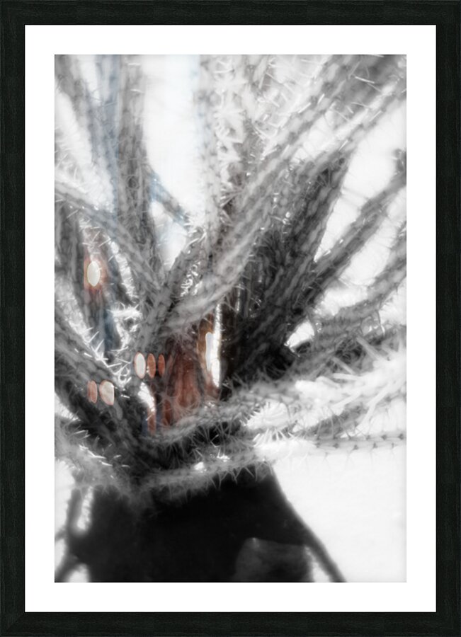 Prickly Dance on a Blurred Canvas Impression et Cadre photo