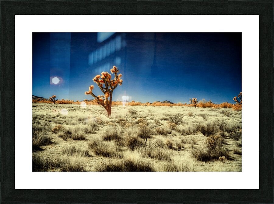 Lone Arboreal Ode in Desert Hues Picture Frame print